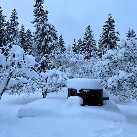 Konnaoja Vikendica *